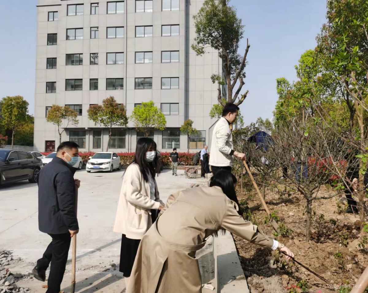 用勞動迎接春天 | 輝采科技開展園區植樹清掃活動